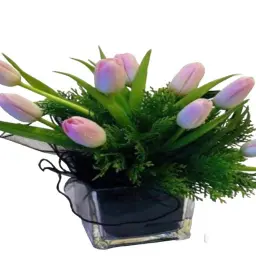 Tulip